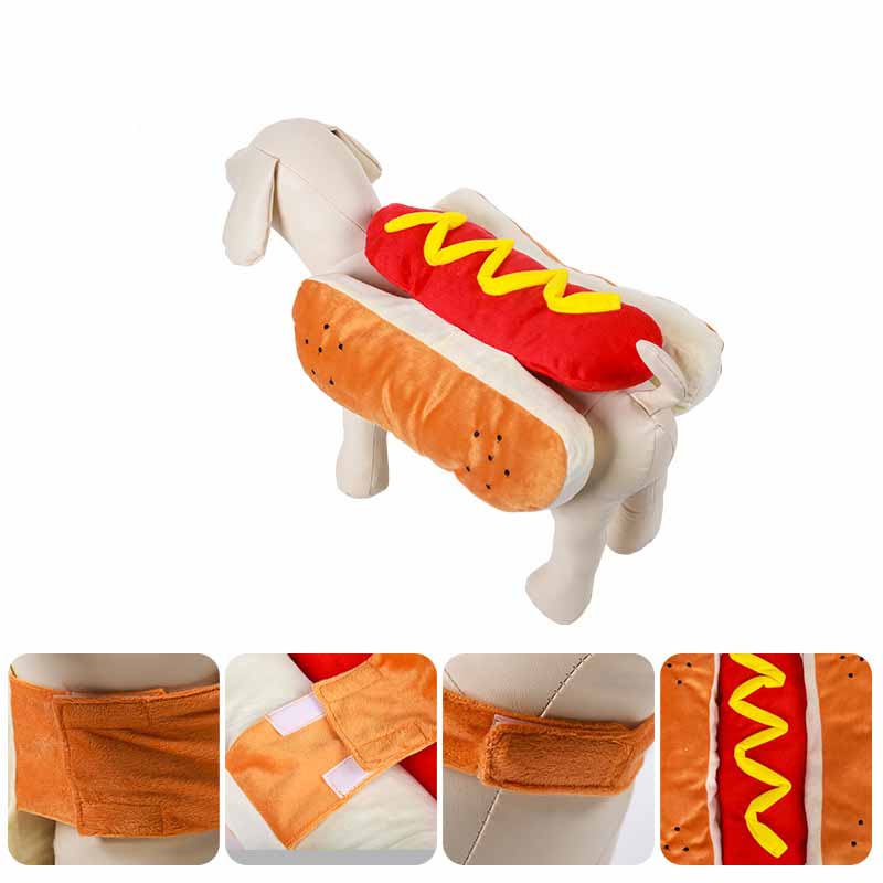 Dog wearing a hot dog costume with close-up details on a white background
