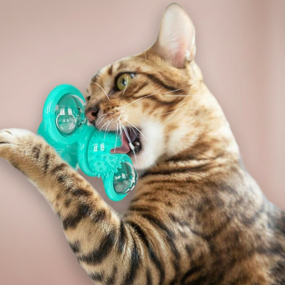 "Textured center rubber ball on cat toy functioning as a toothbrush and face massager."