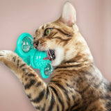 "Textured center rubber ball on cat toy functioning as a toothbrush and face massager."