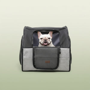 Pet carrier with seat belt and head restraint fixation system on a white background