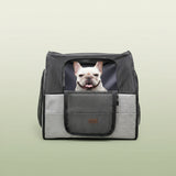 Close-up of the safety belt harness attachment inside the foldable dog car seat.