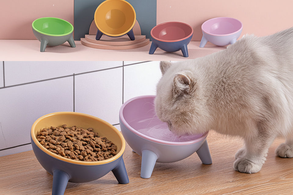 Ergonomic 15-degree elevated cat bowl designed to protect neck alignment during feeding.