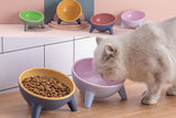 Ergonomic 15-degree elevated cat bowl designed to protect neck alignment during feeding.