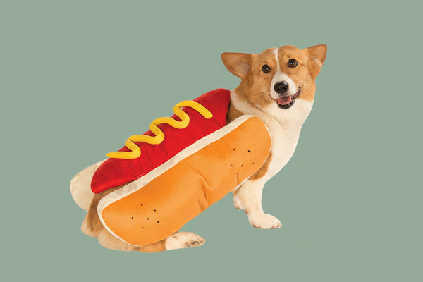 Hilarious Hot Dog Dog Costume – Funny Halloween Pet Outfit
