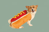 Happy dog wearing a funny hot dog costume for Halloween
