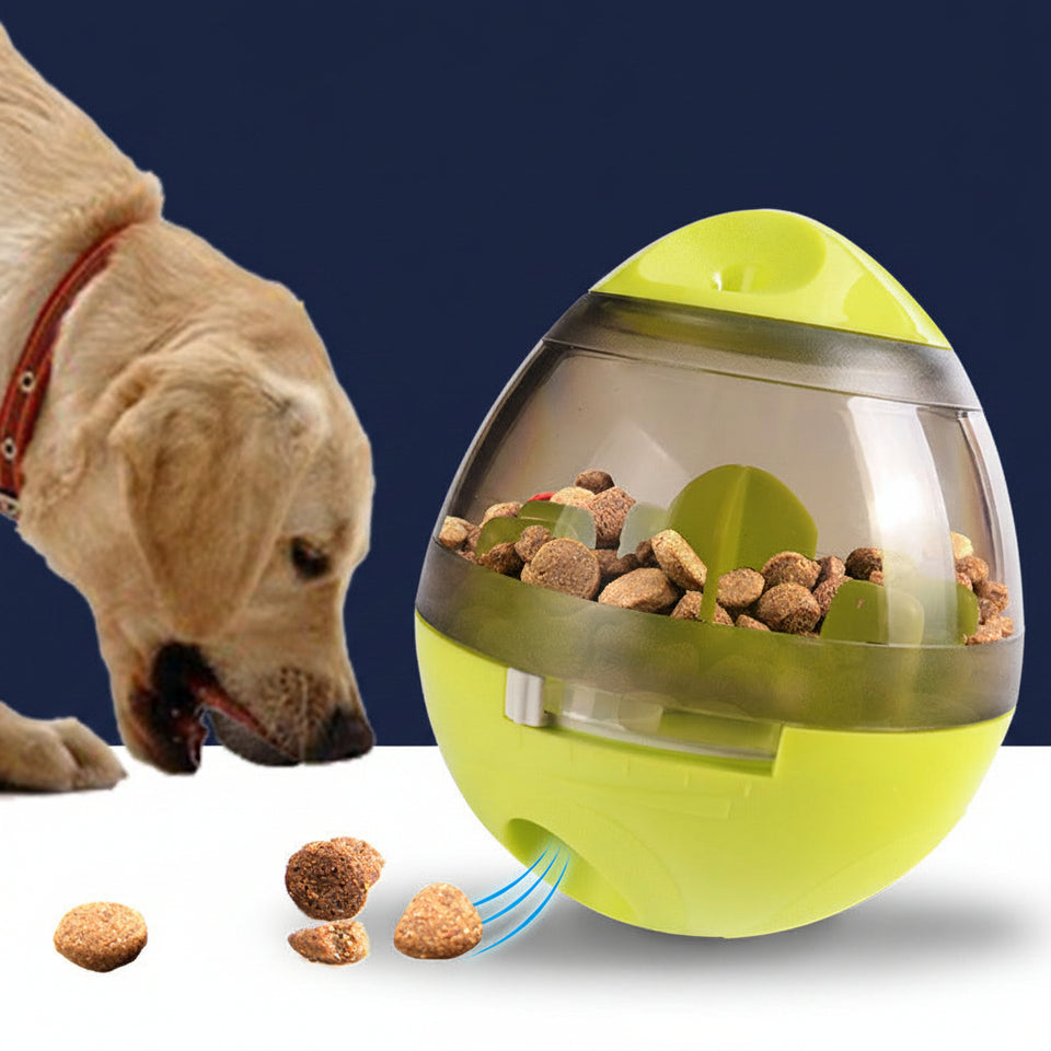 Interactive dog treat dispenser toy filled with dry kibble on a living room rug