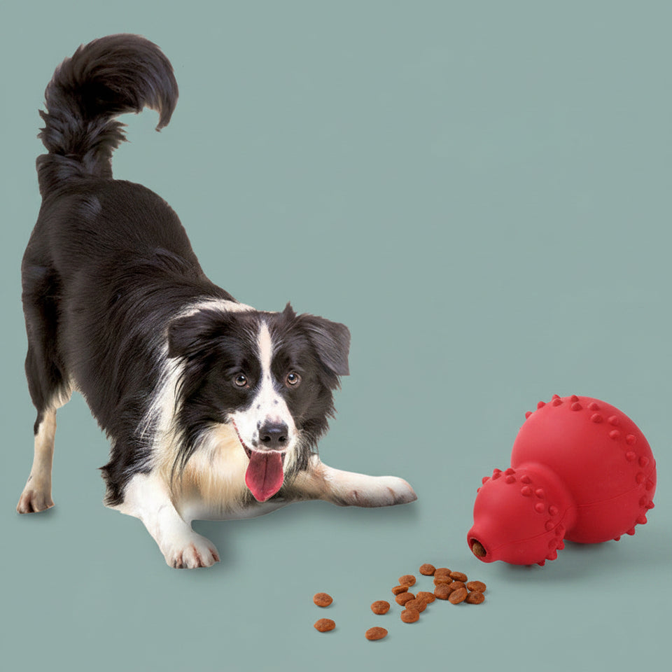 Durable natural rubber dog treat ball filling with mini dog kibble.