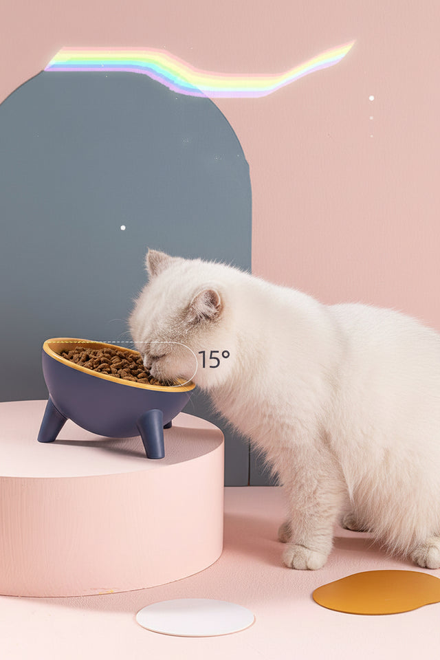 Raised dog feeder with anti-vomit tilt preventing strain and indigestion in small pets.