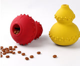 Small dog nudging treat ball toy as healthy snacks fall out.